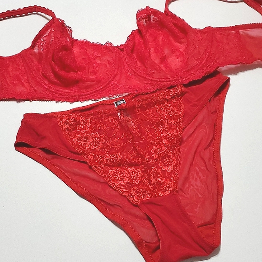 Bra & Panty Set Sizes 38DD/1x Red Lace By Felina Lingerie & Donna Loren